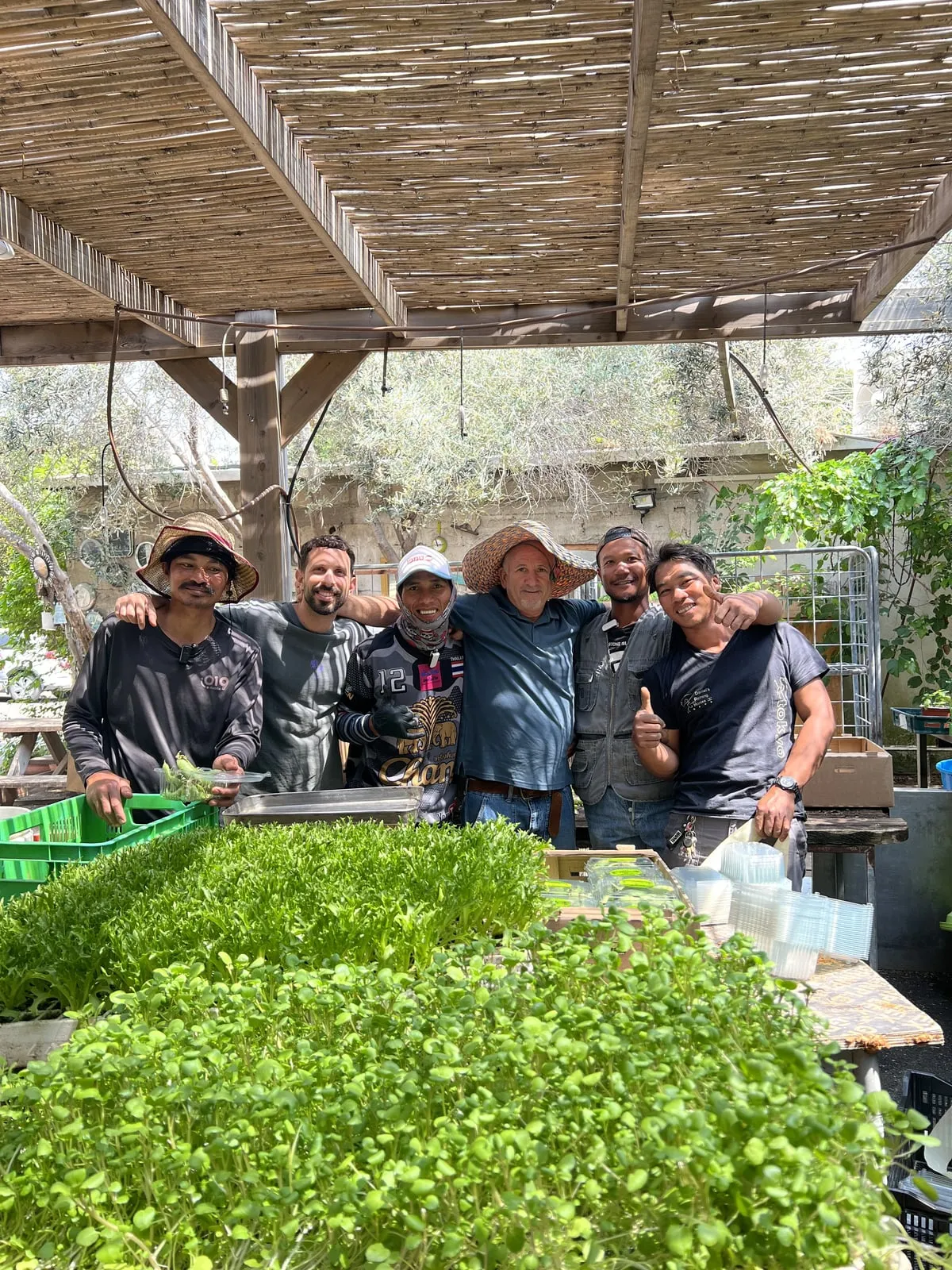 צוות המשק מחובק מעל ערוגת עלים ירוקים